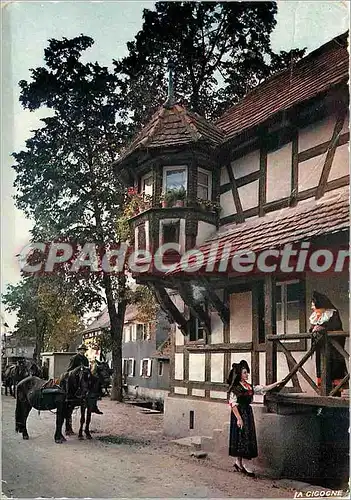 Cartes postales moderne L'Alsace pittoresque Alsaciennes a Scherviller