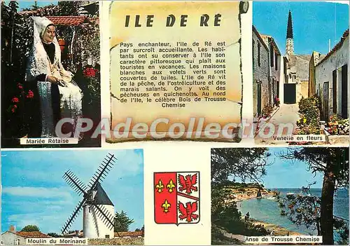 Cartes postales moderne Ile de Re (Chte Mme)
