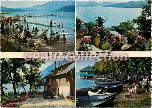 Cartes postales moderne Le Lac d'Aiguebelette (Savoie)