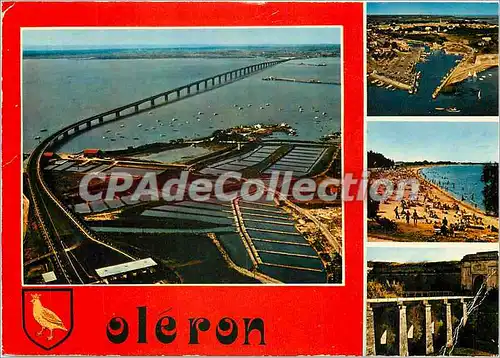 Cartes postales moderne Ile D'Oleron Le Viaduc Oleron Continent Le Port du Chateau