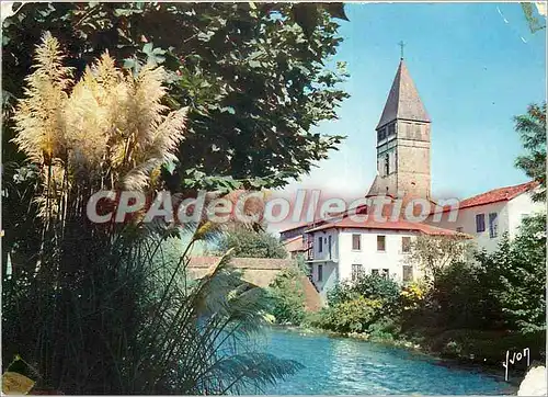 Cartes postales moderne Saint Etienne de Baigotte les Bords de la Nive