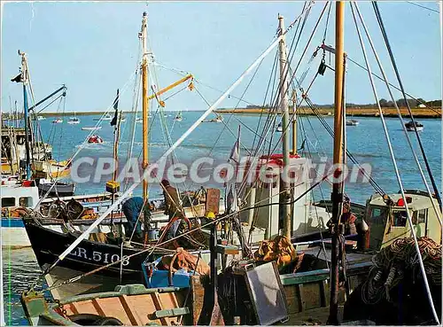 Moderne Karte L'Aiguillon sur Mer (Vendee) le Port