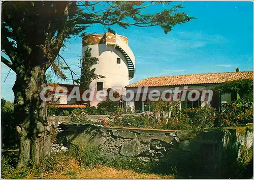 Cartes postales moderne Ile de Re (Ch Mme) Un Joli coin Fleuri a Loix Maison et ancien retais