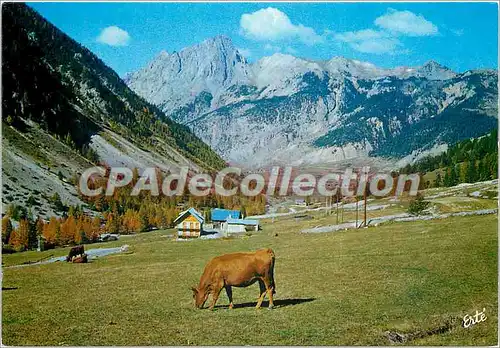 Cartes postales moderne Chateau de la Vendee La Chataignerale le chateau Bailly du Pont