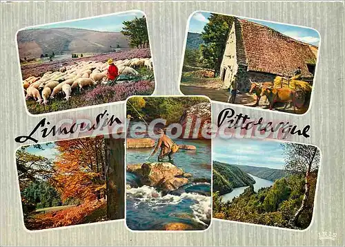 Cartes postales moderne Paysages de Limousin