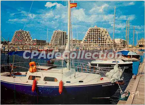 Cartes postales moderne La Grande Motte (Herault) le Port et les Immeuble Pyramidaux