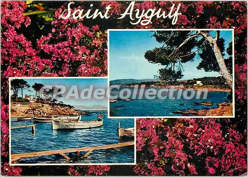 Cartes postales moderne Saint Aygulf (Var)