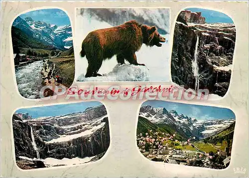 Cartes postales moderne Les Pyrenees les Cirque de Gavarnie