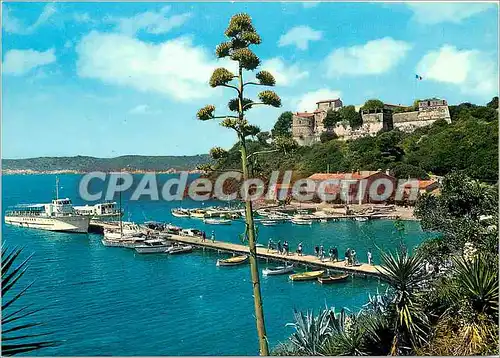 Cartes postales moderne La Cote d'Azur Ile de Port Cros (Var) Le Port