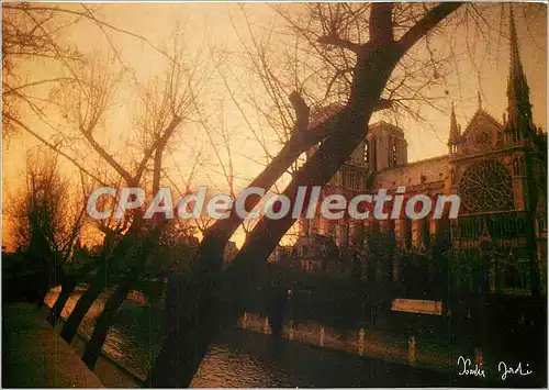 Cartes postales moderne Lumieres et Scenes de Paris la seine et la Cathedrale N D