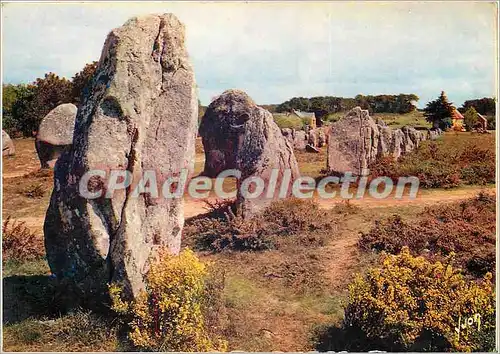 Cartes postales moderne La Bretagne Les Alignements de Carnac (Morbihan)