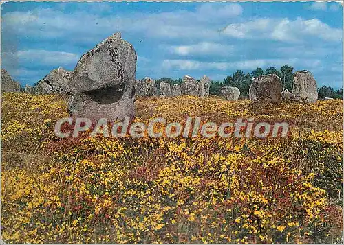 Cartes postales moderne La Bretagne Carnac Alignements