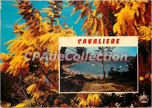 Cartes postales moderne La Cote d'Azur Cavaliere cap Negre la PLage du Layet