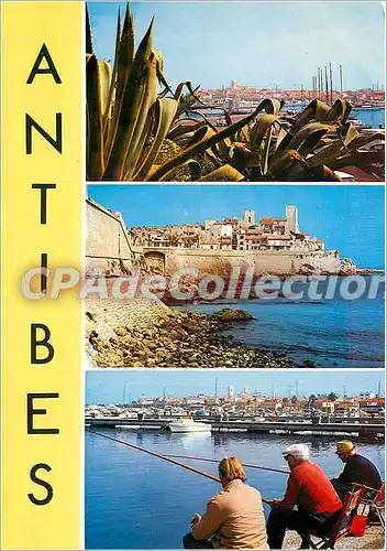 Cartes postales moderne Souvenir d'Antibes