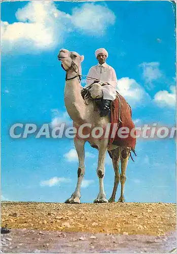 Cartes postales moderne Mer de Sable Centre Attractif Jean Richard Ermenonville (Oise)