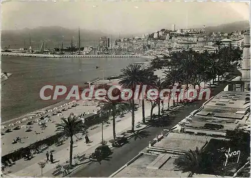 Cartes postales moderne Cannes (Alpes Mmes) La Croisette le port et le Suquet