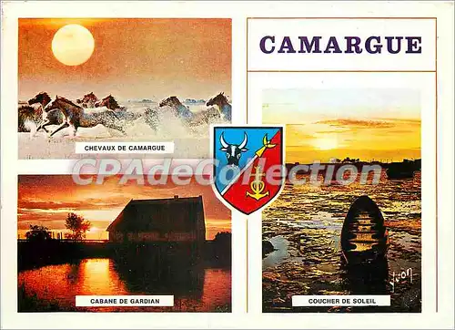 Cartes postales moderne En Camargue (Bouches du Rhone) Couleurs et Lumiere de France