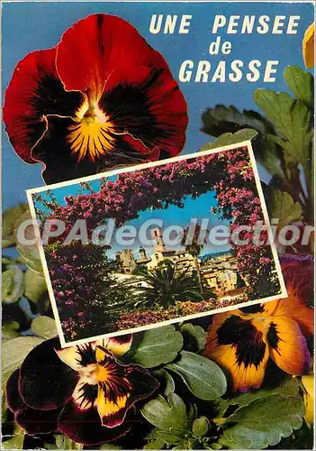 Cartes postales moderne Grasse La Cite des Parfums