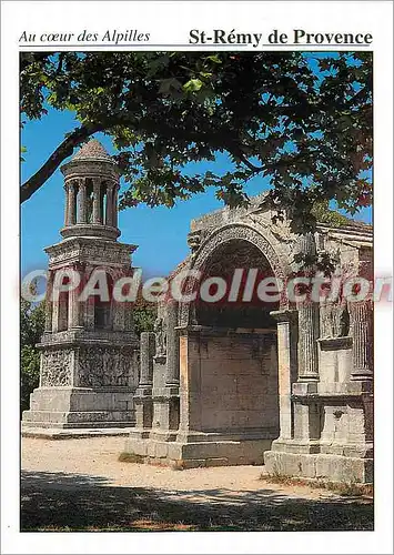 Cartes postales moderne St Remy Les Antiques en Provence