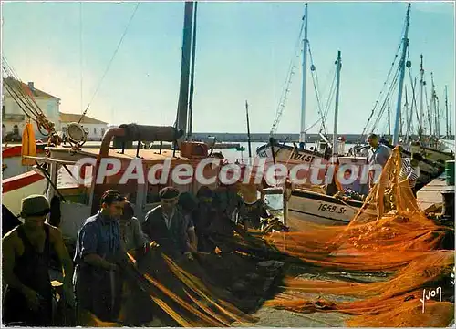 Cartes postales moderne Sete (Herault) le Port de peche