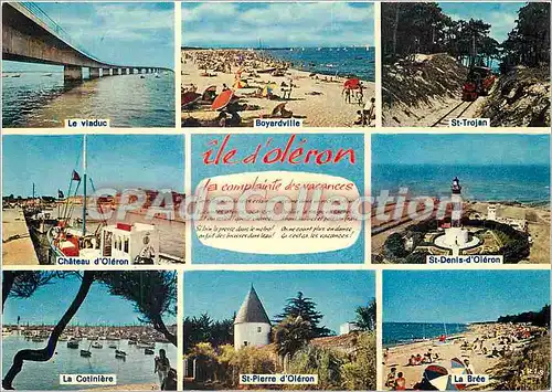 Cartes postales moderne Ile d'Oleron