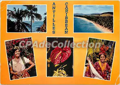 Cartes postales moderne Antilles Radieuse The enchanting Caribbean