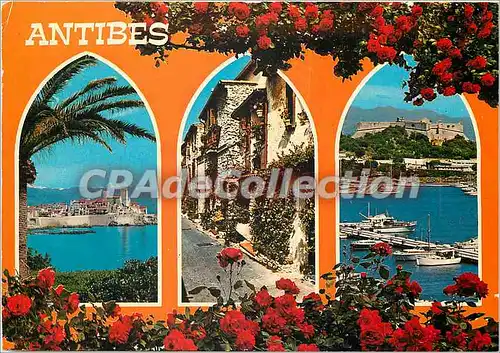 Cartes postales moderne Cote d'Azur Souvenir d'Antibes (A M)