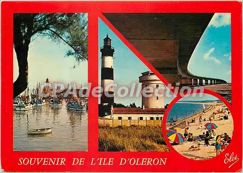 Cartes postales moderne Ile d'Oleron le Joli Port de la Cotiniere le Phare et le Semaphore