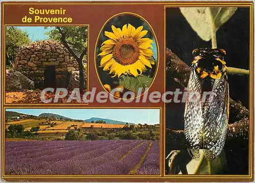 Moderne Karte Souvenir de Provence