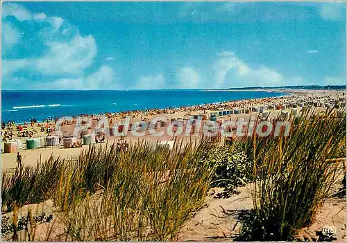 Cartes postales moderne La Cote d'Argent Soulac (Gironde) la Plage