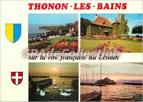 Cartes postales moderne Thonon les Bains Haute Savoie sur la rive francaise du Leman