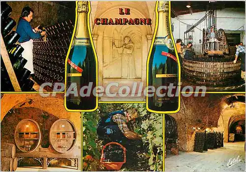 Cartes postales moderne Souvenir de Champagne