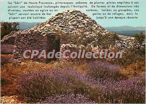 Cartes postales moderne Les Borts de Haute Provence pittoresques cabanes de pierres plates empiles a sec
