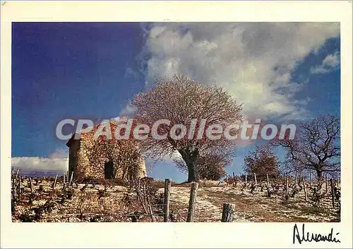 Cartes postales moderne Images de Provence