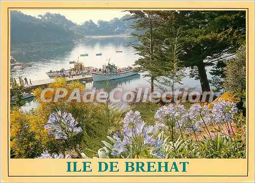 Cartes postales moderne Ile de Brehat L'ile des fleurs et des rochers roses