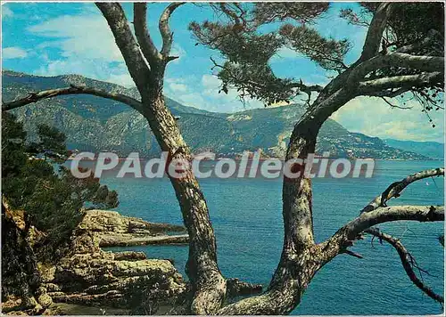 Cartes postales moderne Cote d'Azur St Jean Cap Ferrat Vue prise de la promenade Maurice Rouvier