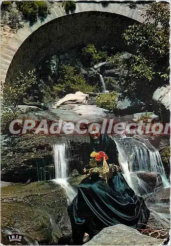 Cartes postales moderne Charmes et Couleurs de la Corse Un Sourire de Corse sur un fond de rideau tisse par l'eau