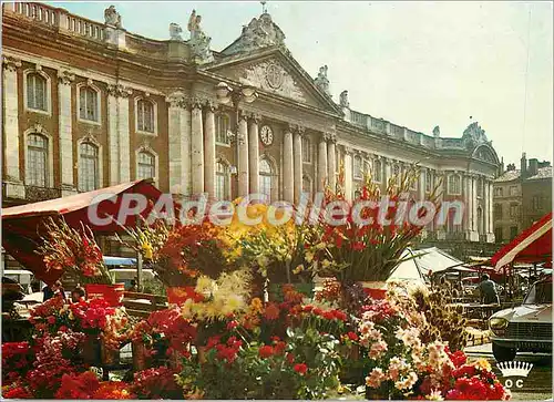 Cartes postales moderne Toulouse La Ville Rose Le Marche aux fleurs sur la Place du Capitole