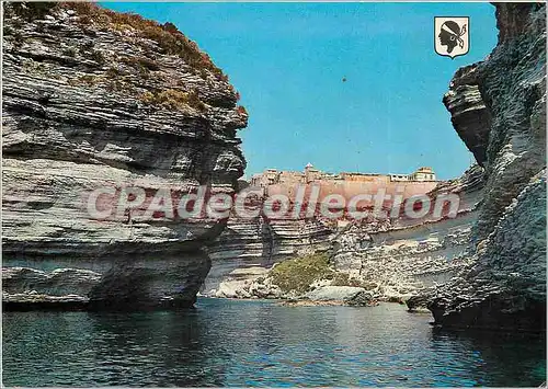 Cartes postales moderne Corse Ile de Beaute Bonifacio les Falaise et la Vieille Ville