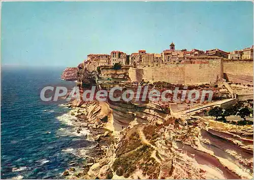 Cartes postales moderne Bonifacio La haute ville entouree de remparts