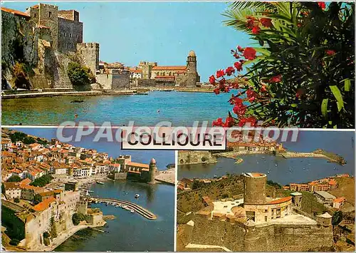 Cartes postales moderne Collioure (Pyr Or) Regards sur cette cifarmante Station estivale