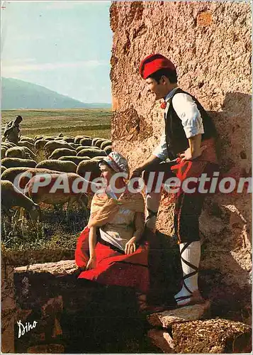 Cartes postales moderne Foklore et Couleurs du Roussillon montagnarde