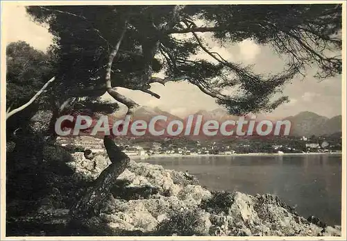 Cartes postales moderne cote d'azur Cap Martin