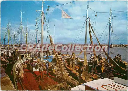 Cartes postales moderne Arcanchon (Gironde) Les bateaux de peche et le port de plaisance