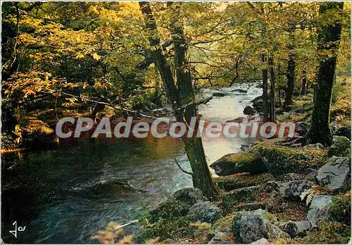 Moderne Karte La Bretagne en couleurs Entre la Faouet et Hennebont la Vallee du Scorff dans la foret de Pont