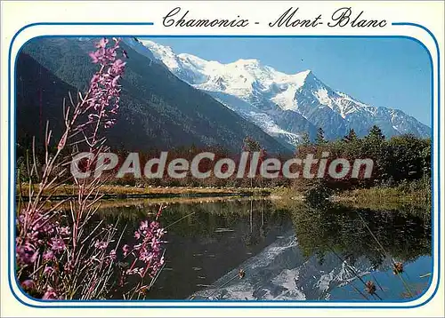 Cartes postales moderne Chamonix Mont Blanc (Hte Sav) alt 1037 m le lac de Champraz et le Mt Blanc 4807 m