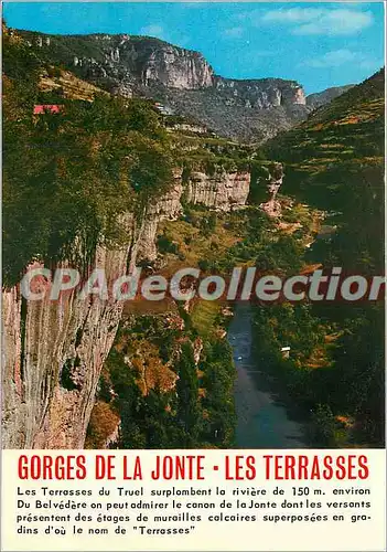 Cartes postales moderne En Parcourant les Gorges de la Jonte (Lozere) Les Terrasses du Truel