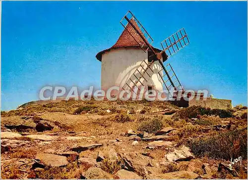 Cartes postales moderne La Corse oasis de Beaute Tous les vents du Cap Corse