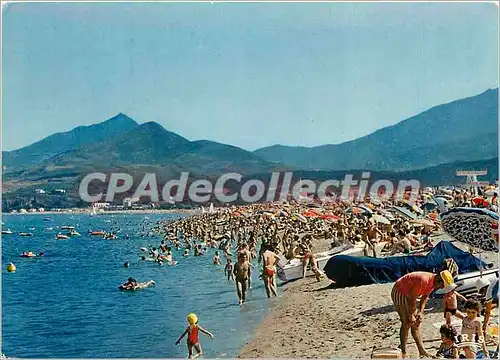 Cartes postales moderne Argeles sur Mer (Pyrenees Orientales) La Plage et la chaine des Alberes