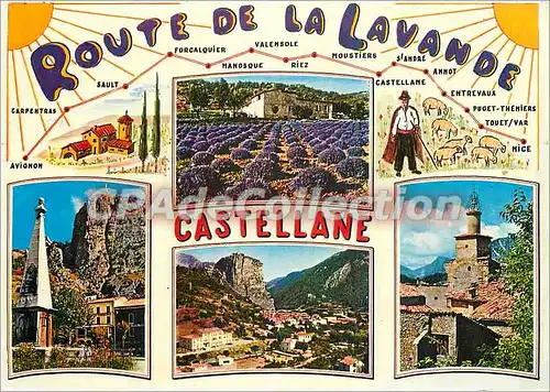 Cartes postales moderne Castellane Basses Alpes Alt 724 mStation touristique situee aux Croisements de la Route de la L